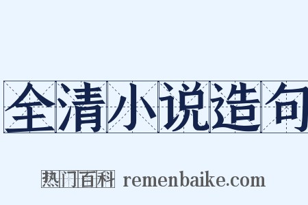 全清小说造句是什么意思的图片